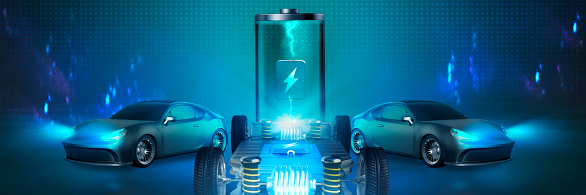 비나에프씨엠(주)